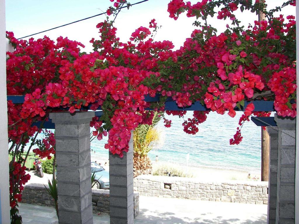 Theoxenia Chios Apartments Paralia Agias Foteinis Екстериор снимка